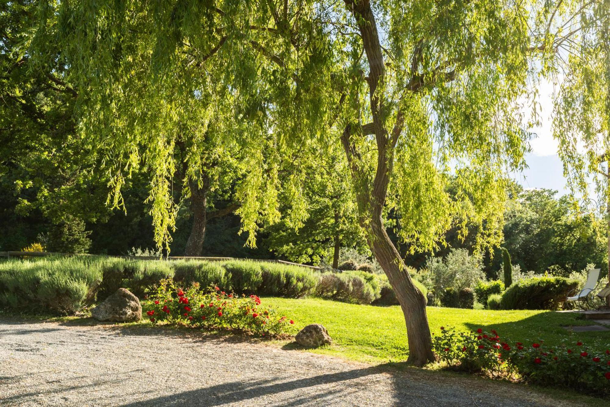 B&B - Podere Monti Montepulciano Stazione Kültér fotó