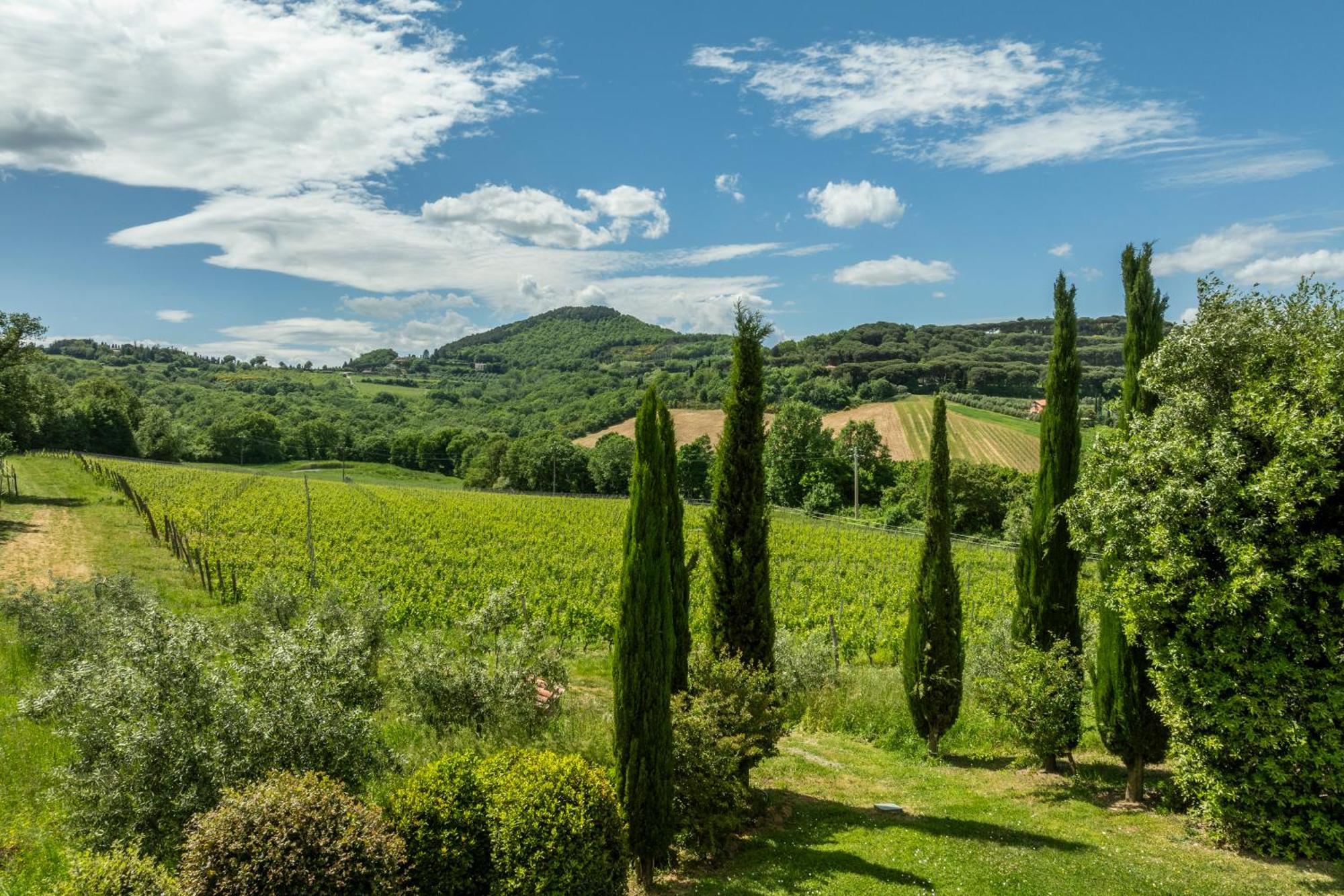 B&B - Podere Monti Montepulciano Stazione Kültér fotó